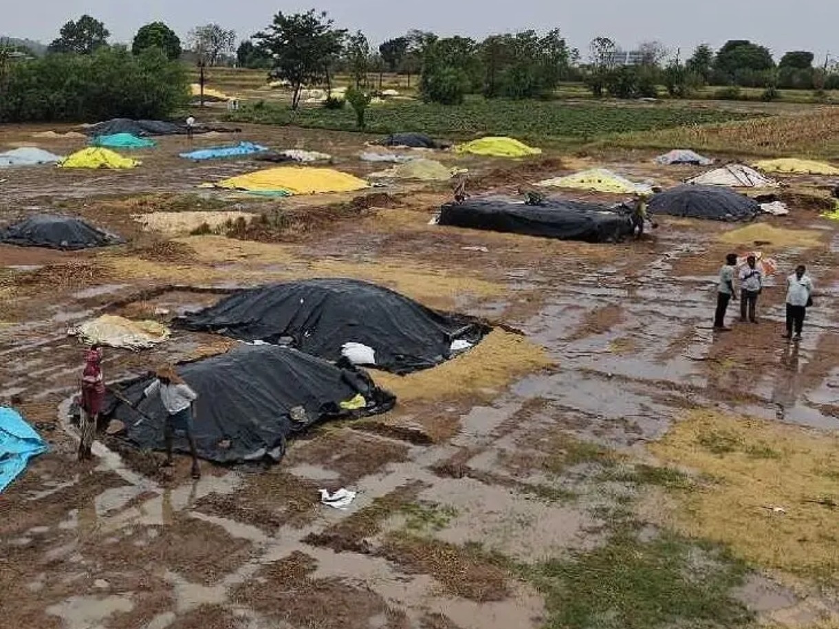 భారీ వర్షం.. తడిసిన ధాన్యం