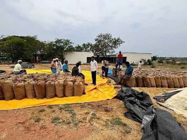 వర్షానికి తడిసిన ధాన్యం బస్తాలు