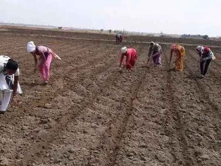 మండలంలో వర్షంతో రైతుల ఆనందం