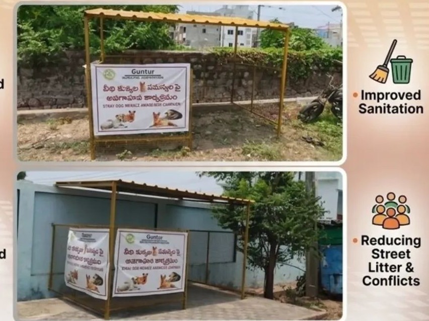 వీధి కుక్కల ఆహారానికి ప్రత్యేక ఫీడింగ్ షెడ్లు