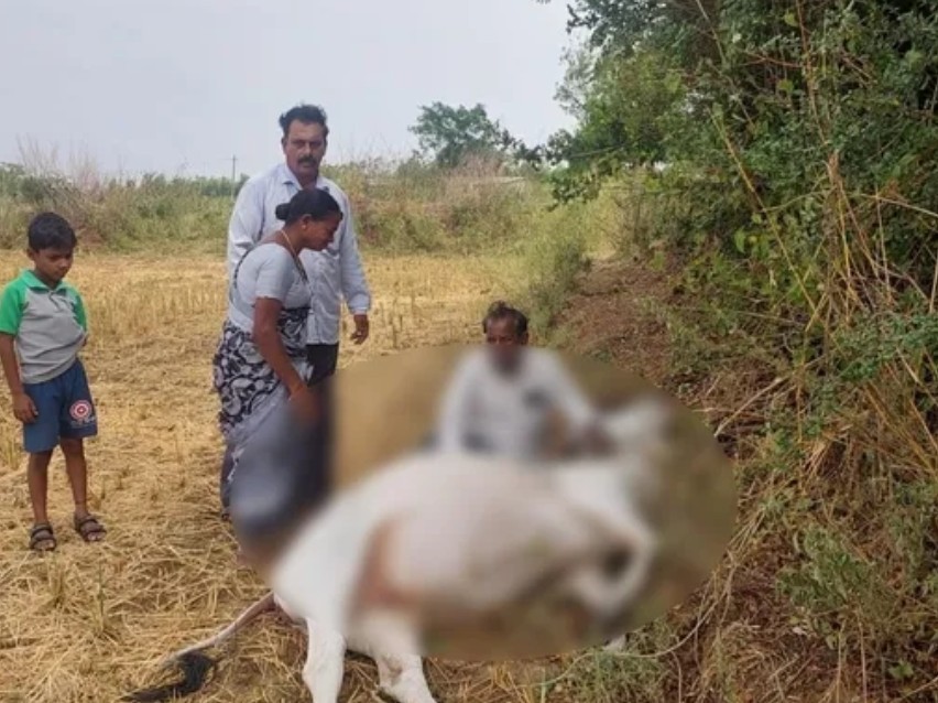 పిడుగు పడి రైతు మృతి