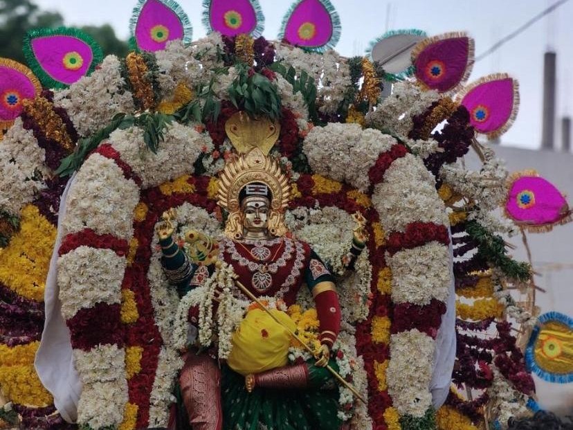 వడ్డిపాలెంలో వైభవంగా పోలేరమ్మ జాతర
