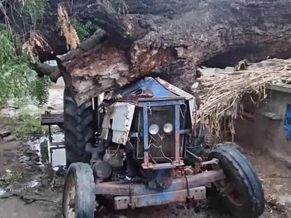 నేలకొరిగిన భారీ వృక్షం.. తప్పిన పెను ప్రమాదం