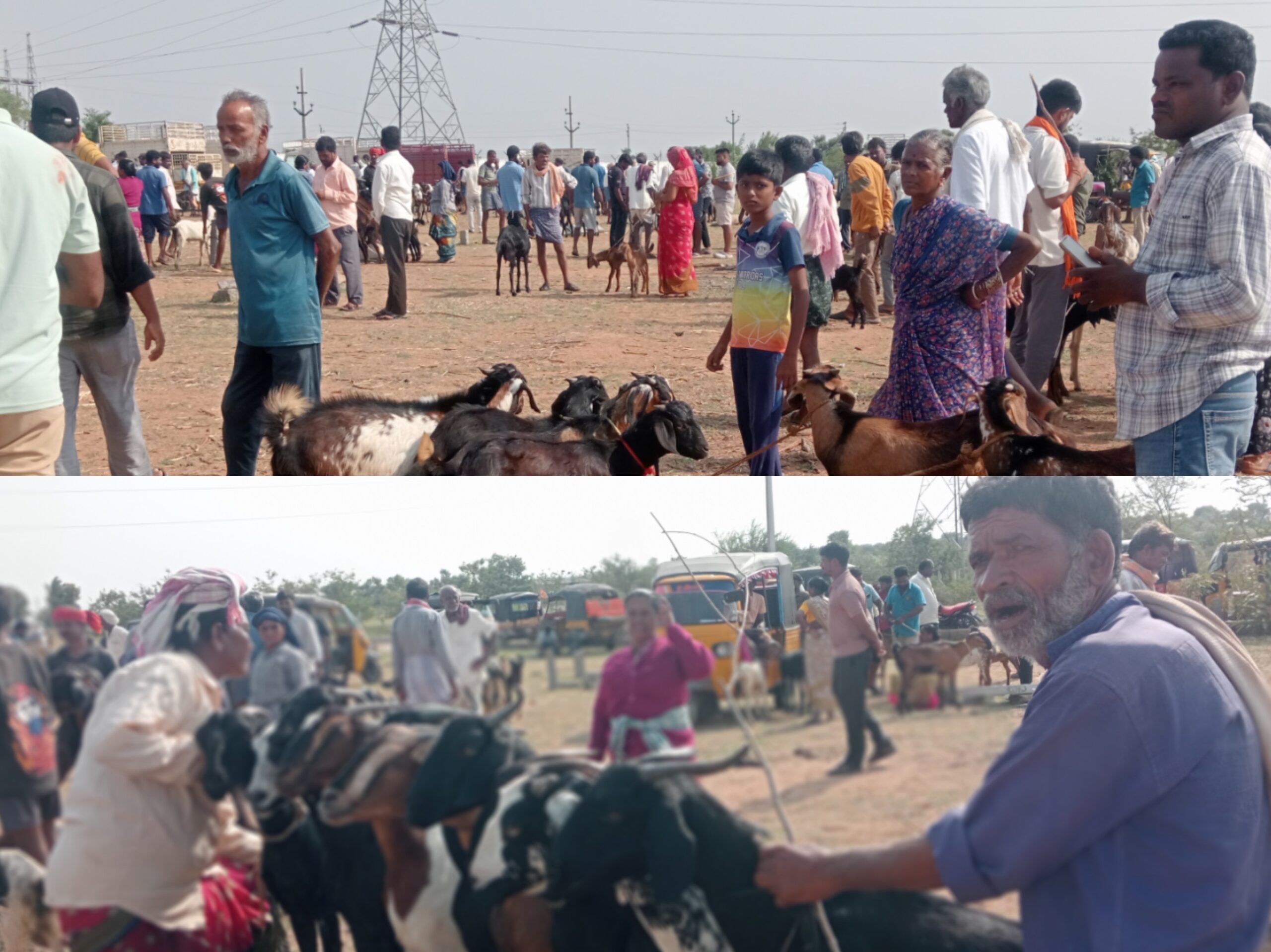 మిడ్జిల్ మండలంలో జోరుగా సాగుతున్న సంత