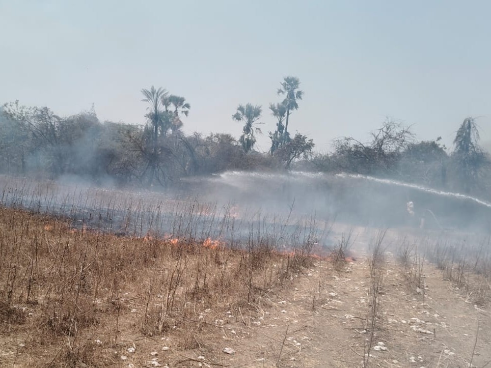 పంట పొలాల్లో ఎగిసిపడుతున్న మంటలు