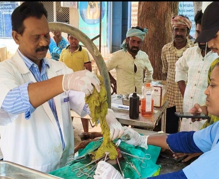 మేక పొట్టలో 3 కిలోల ప్లాస్టిక్ తొలగింపు