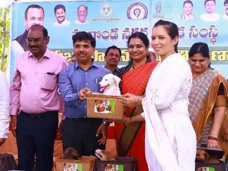 ‘కుక్కకాట్లపై అప్రమత్తత అవసరం’