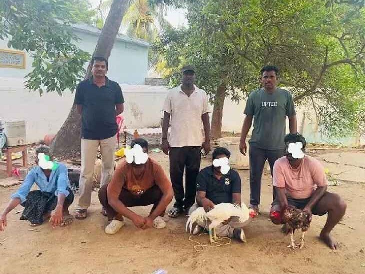 నడింపల్లిలో కోడిపందేల స్థావరంపై పోలీసుల దాడి