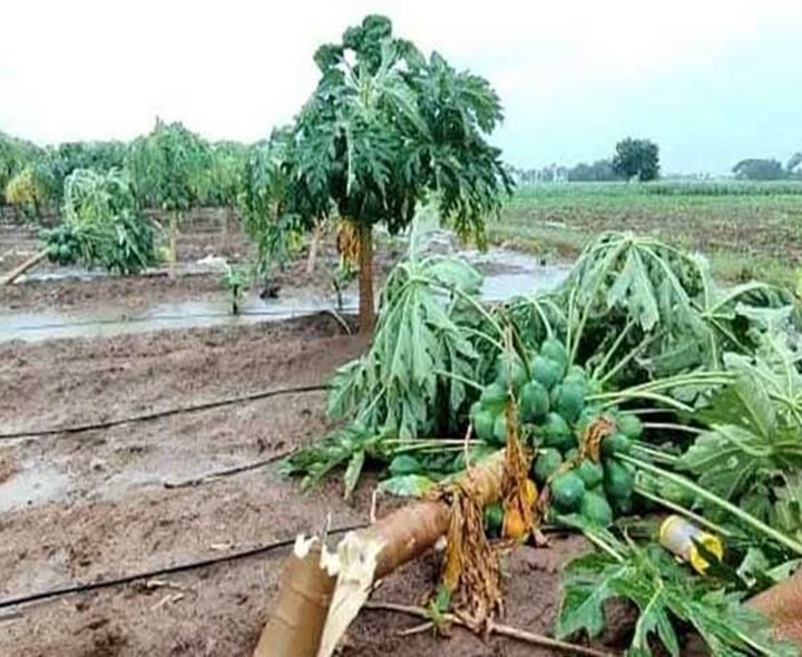 వర్ష బీభత్సం.. ఐదుగురు మృతి