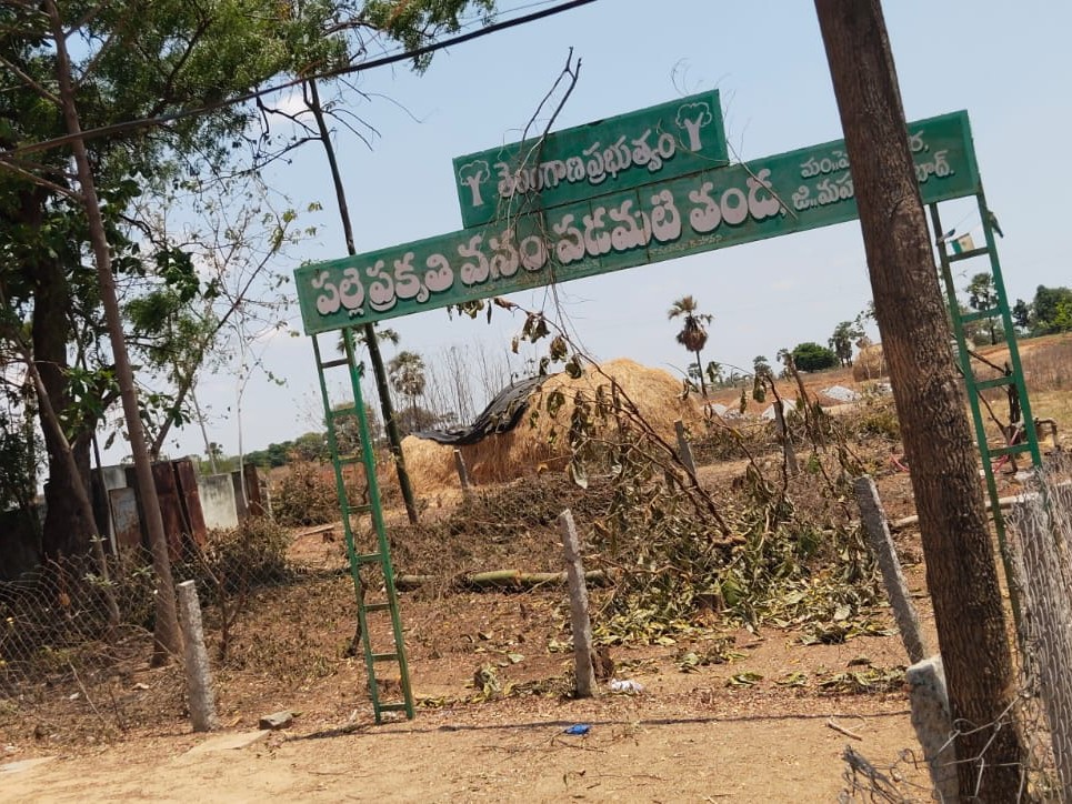 అనుమతి లేకుండా పకృతి వనంలో చెట్లు నరికివేత