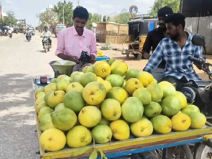పత్తికొండలో ముంతమామిడి పండ్ల సందడి.!