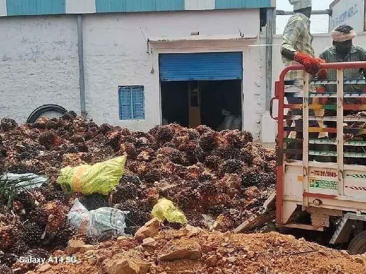 ఆయిల్ పామ్ రైతుల ఆందోళన