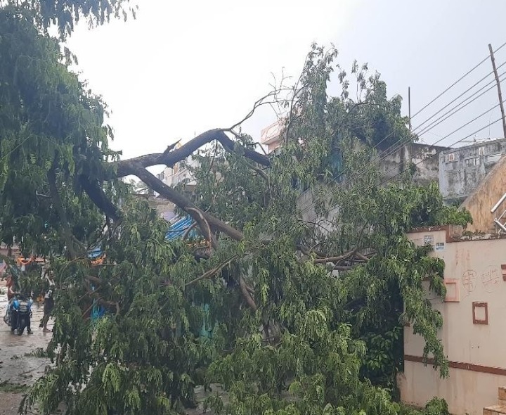 ఇంటిపై కూలిన భారీ వృక్షం.. తప్పిన ప్రమాదం