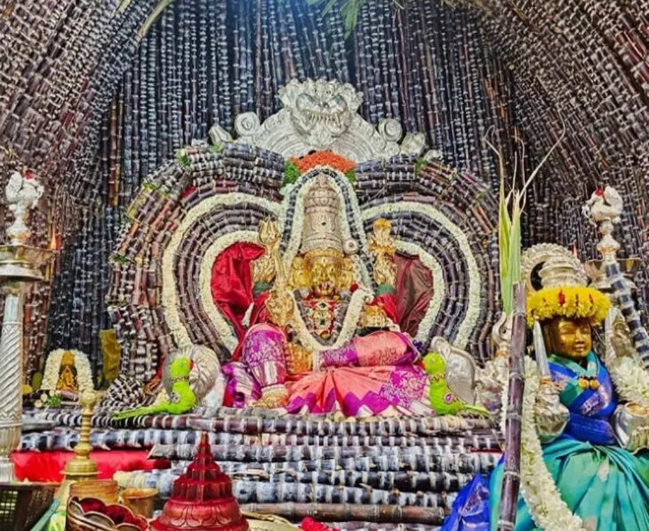 తిరుపతిలో తాతయ్యగుంట గంగమ్మ విశేషాలంకరణ