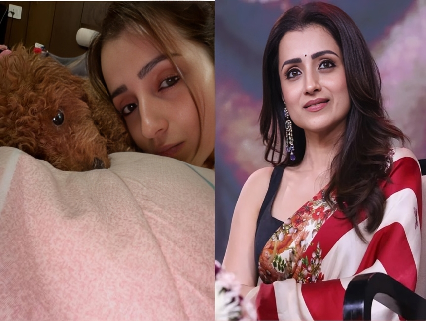 పెంపుడు కుక్క ఫొటోతో త్రిష స్ట్రాంగ్ కౌంటర్
