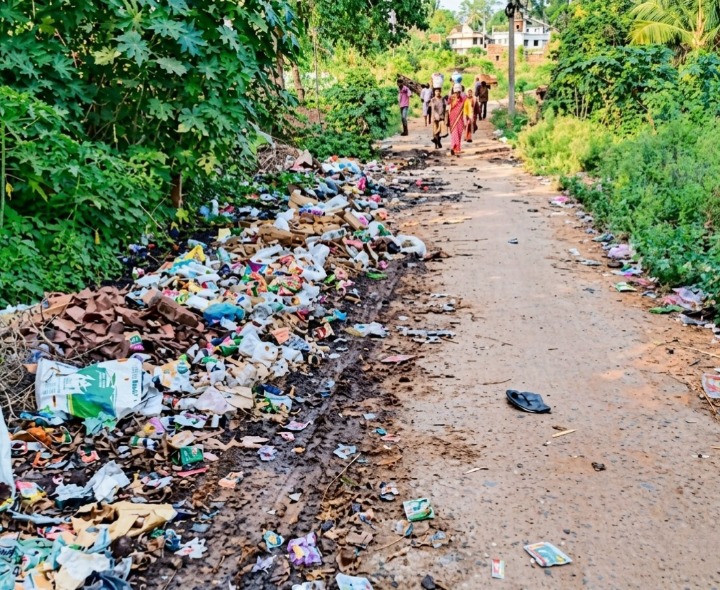 మక్కువలో పారిశుద్ధ్య సమస్య