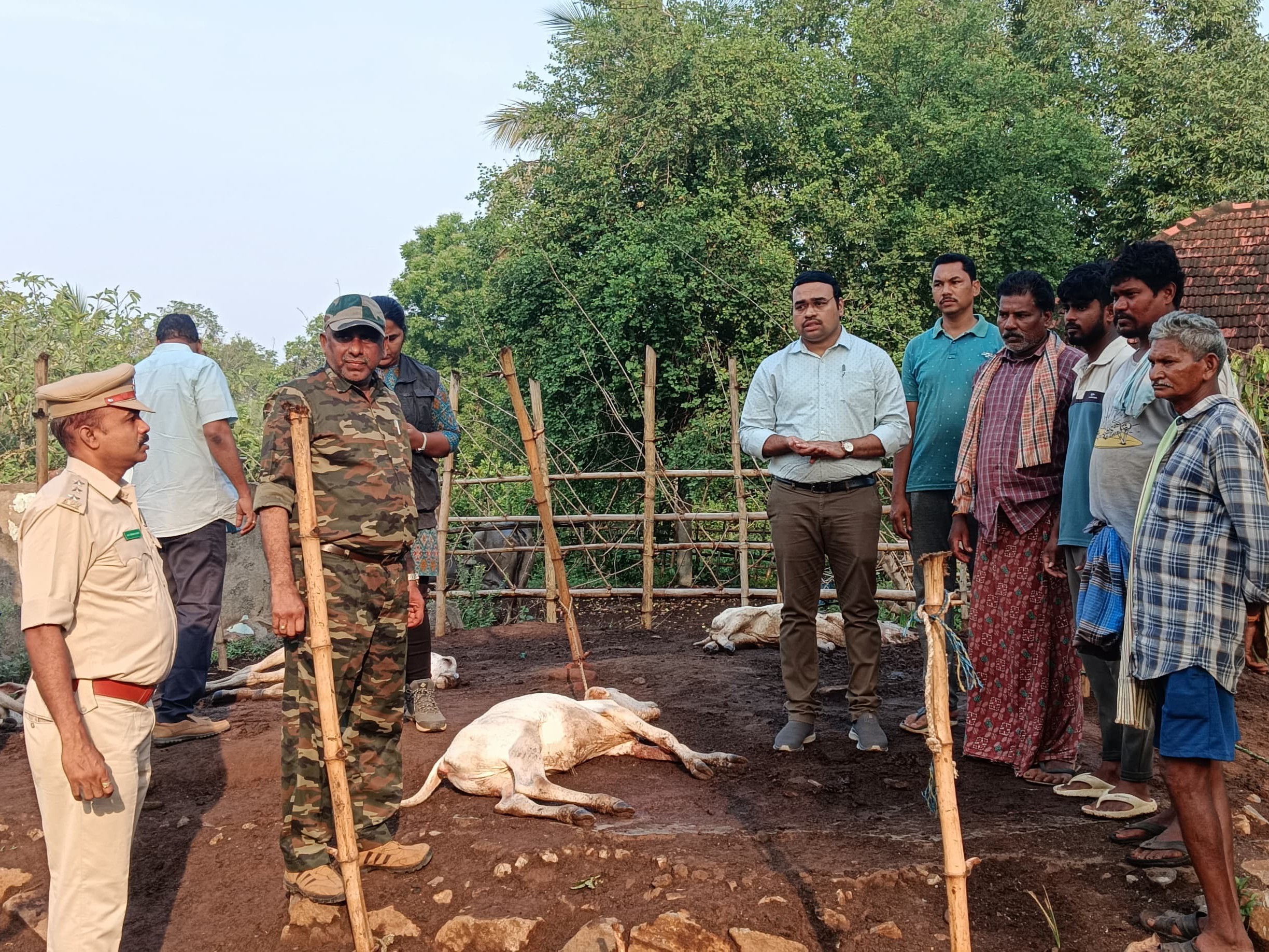‘చనిపోయిన పశువులకు నష్టపరిహారం చెల్లిస్తాం’
