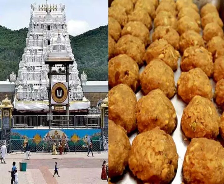 మేలో రికార్డు స్థాయిలో శ్రీవారి లడ్డూల విక్రయం