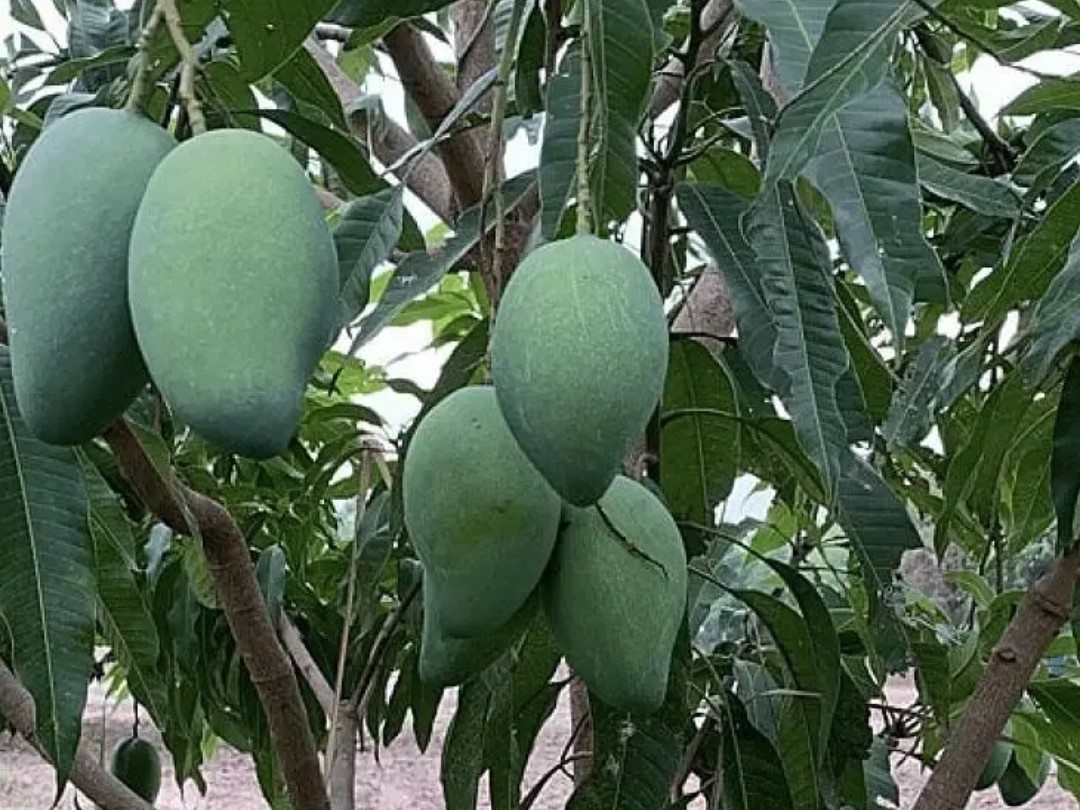 గిట్టుబాటు ధర కోసం రైతుల డిమాండ్