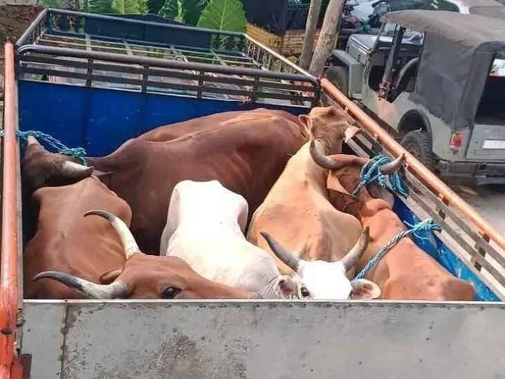 అక్రమ పశువుల రవాణ .. వాహనాలు సీజ్..!