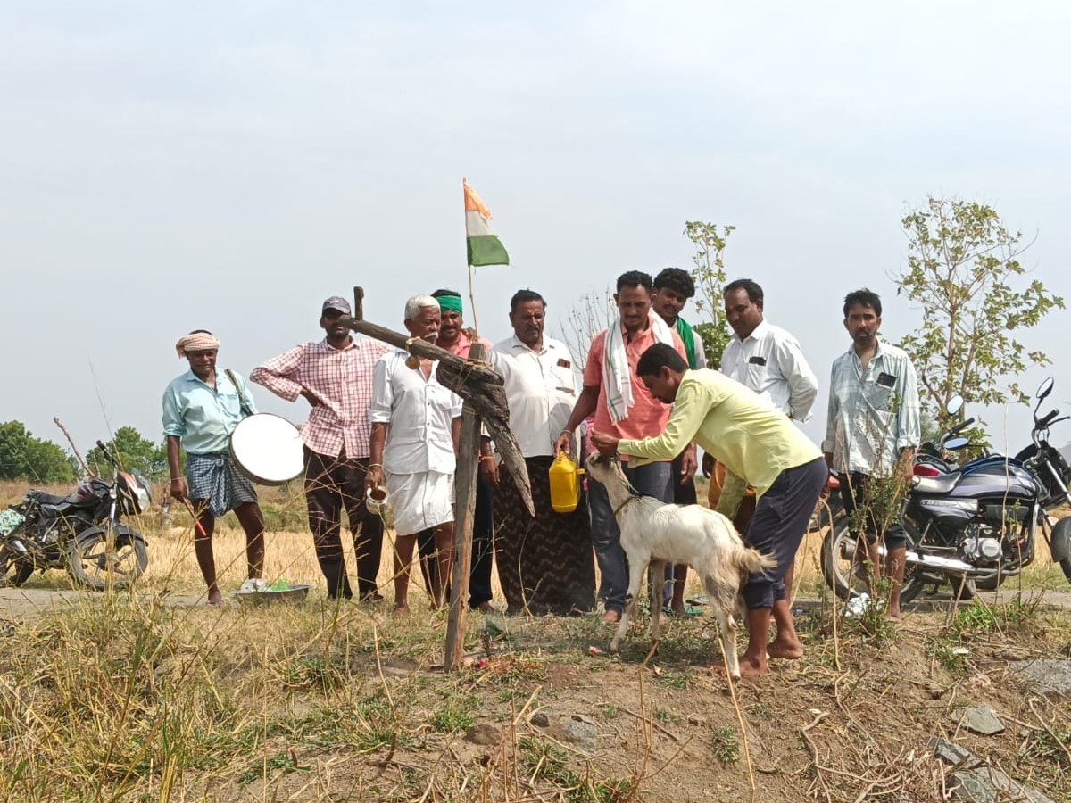నాగలి సంప్రదాయానికి శ్రీకారం