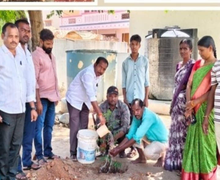 నందుపల్లిలో మొక్కలు నాటిన సర్పంచ్