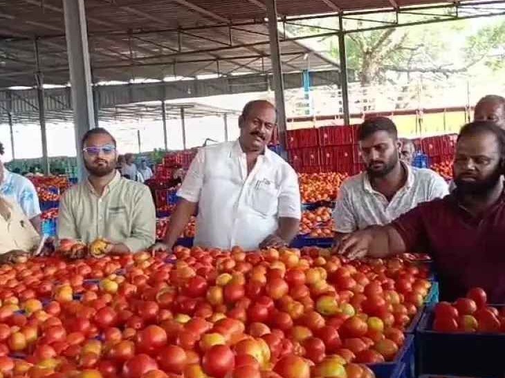 మదనపల్లెలో కేజీ టమాటా రూ.34