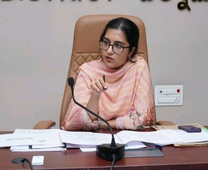 సర్ ఓటర్ల మ్యాపింగ్ త్వరగా పూర్తి చేయాలి: కలెక్టర్