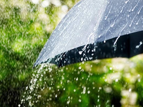 జిల్లా వ్యాప్తంగా 121.4 మి.మీల వర్షపాతం నమోదు